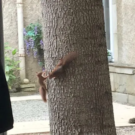 Casa vacanze Les Cèdres