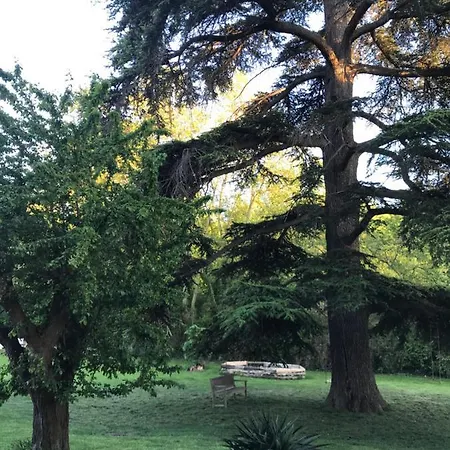 Les Cèdres * Chalabre